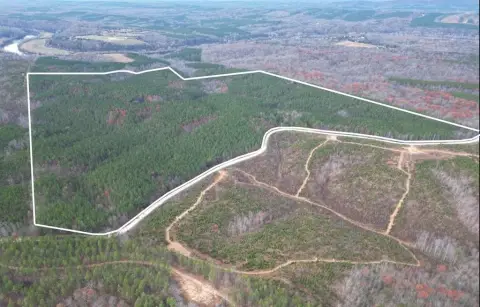 Wingina Land with Timber Value