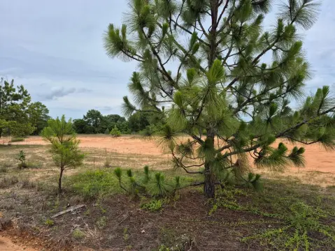 Recreational Hunting Land