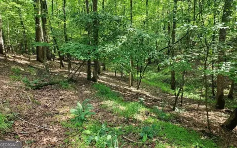 Homesite in Gated Community