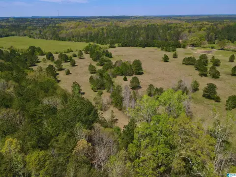 Pastureland Farm Tract