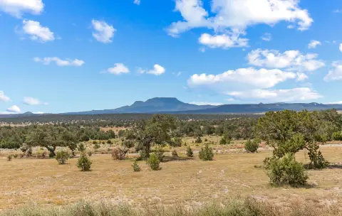 Land with Expansive Views