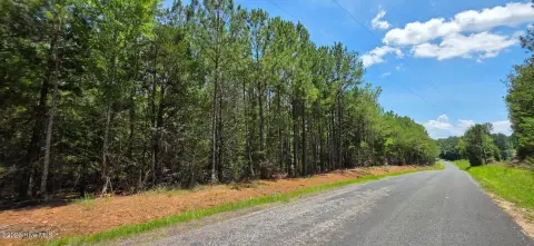Heavily Wooded Land