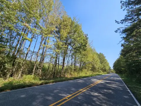 135 Acres Vacant Land Opportunity