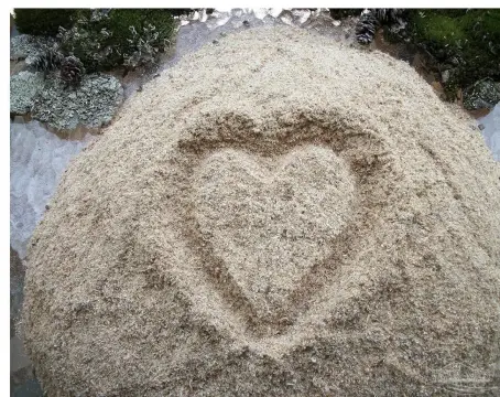 Land Near Water and Beaches