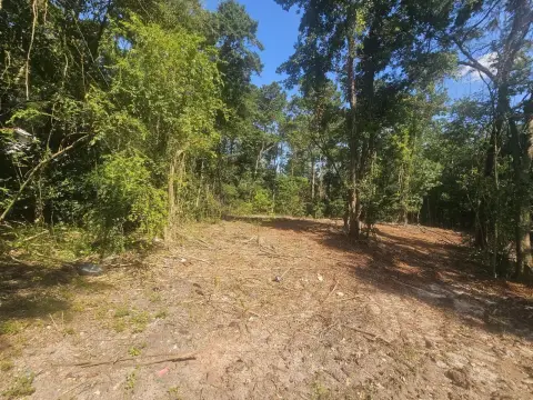 Residential Land in Louisville, Georgia