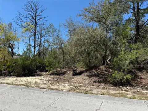 Citrus Springs Lot For Sale