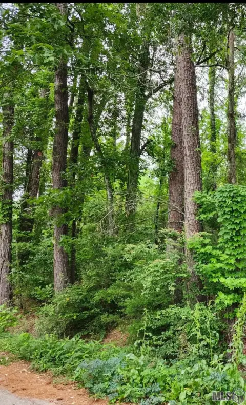 Residential Land in Denham Springs