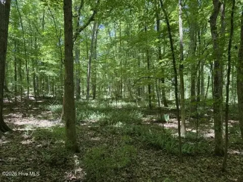 Wooded Residential Recreation Lot