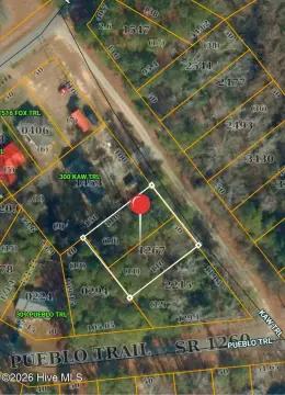 Adjacent Wooded Residential Lots