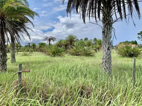 Vacant Agricultural Land Parcel