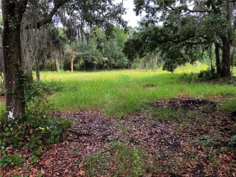 7-Acre Horse Property in Wimauma