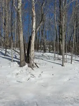 Land with Mountain Views