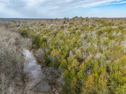 Timbered Recreational Land Tract