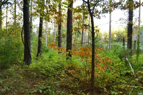 Charlottesville Land with Pond