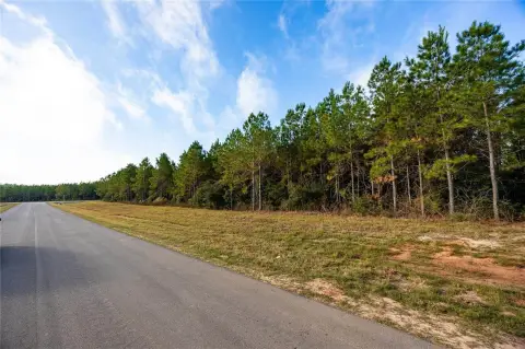 Acre Corner Lot in Willis