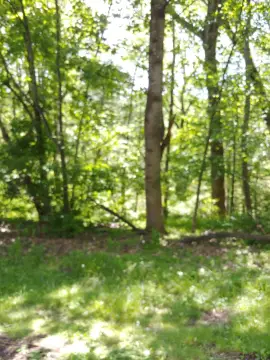 Roanoke Land Parcel For Sale