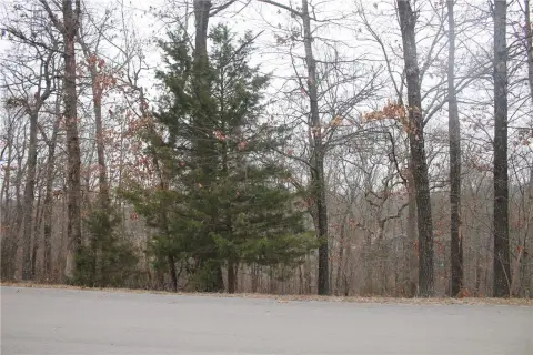 Residential Land in Bella Vista