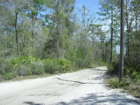 Dunnellon 1.25 Acre Lot