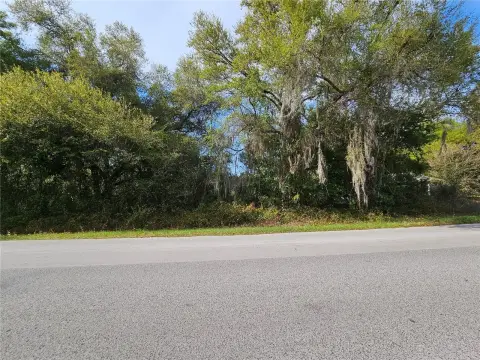 Residential Lot in Silver Springs