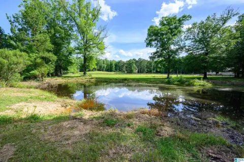 Stunning Chelsea Acreage with Barn