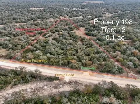 Untouched Wooded Land Near San Antonio