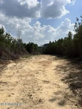 Land in Madison County, MS