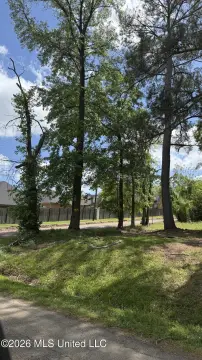 Cleared Corner Lot Ready