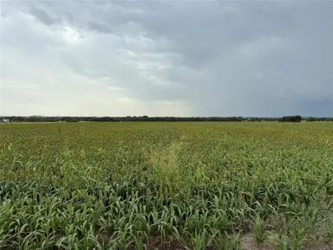 Picturesque Land Near Lake Ray