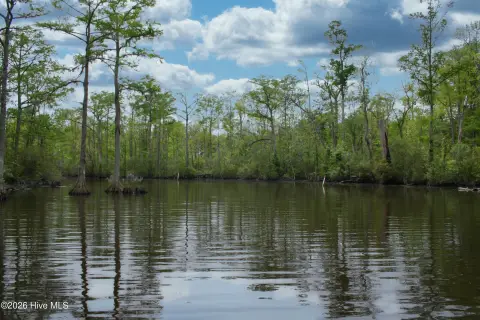 Waterfront Land in Hertford, NC