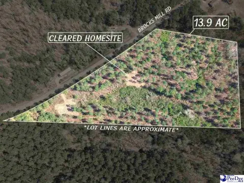 13.9 Acres Ready-to-Build Land