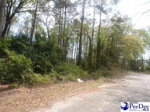 Residential Land in Hartsville, SC