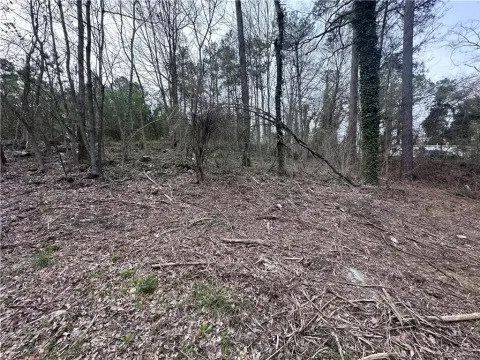 Wooded Lot Near Lake Allatoona