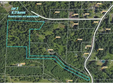 Forested Land in Springfield, Oregon