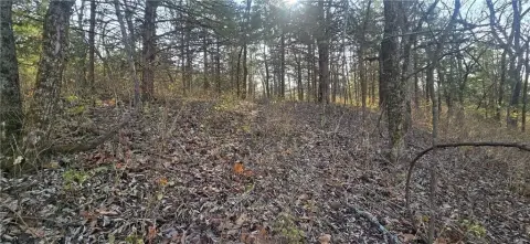 Secluded Hunting and Recreation Land