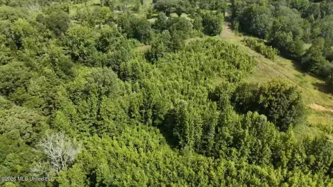 13.5 Acres in Utica, MS