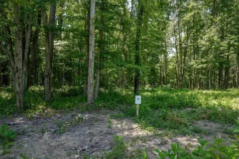 Residential Land in Cheat Lake