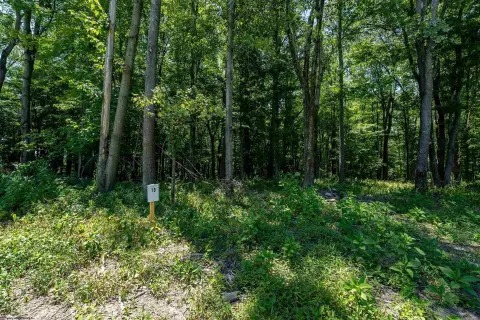 Residential Land in Cheat Lake
