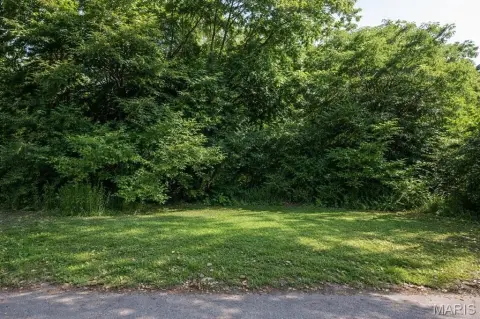 Residential Land in East St. Louis