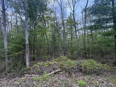 Presque Isle Wooded Triple Lot