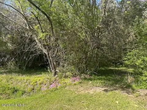 Residential Land in Hallsboro, NC