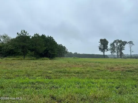 Commercial Land in New Bern