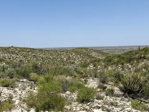 West Texas Hunting and Land