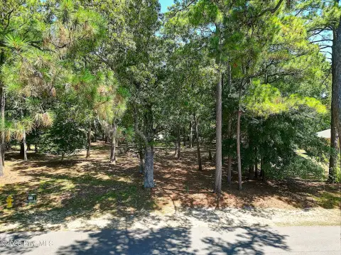 Raised Wooded Homesite with Marsh Views