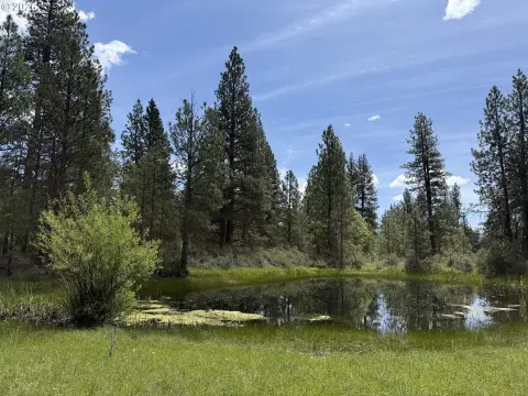 20 Acres with Pond