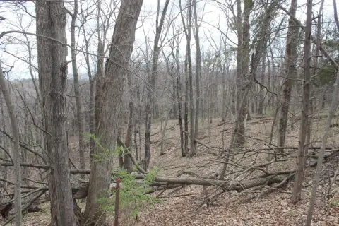 Recreational Land with Pasture
