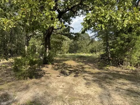 15.35 Acres of Wooded Land