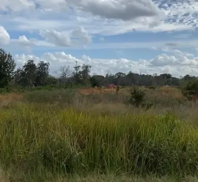 Lake Wales Vacant Land