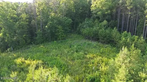 Lakefront Homesite with Mature Trees