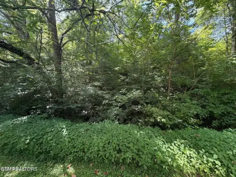 Resort Subdivision Building Lot