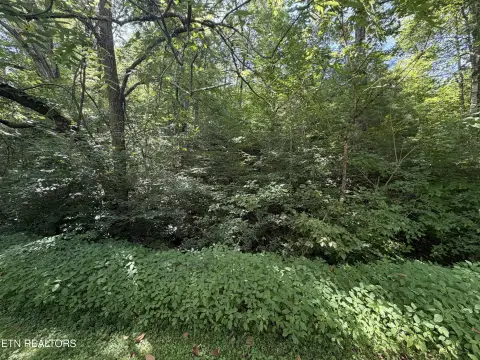 Resort Building Lot with Utilities